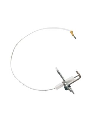 Elettrodo di rivelazione per sr 80