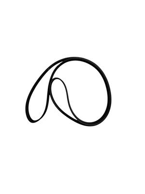 Cinghia per lap 10 POLY V 6P J1200