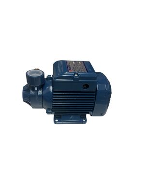 Pompa  PKm 60 3 atm 220V 50HZ